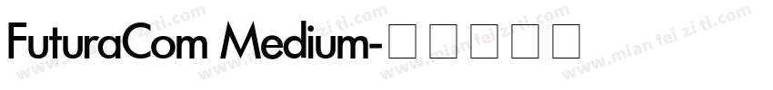 FuturaCom Medium字体转换